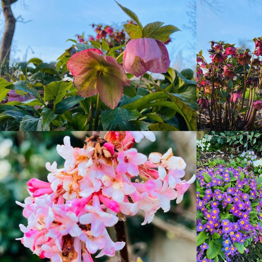 Les Couleurs Du Verger Beaumont-les-Autels 外观 照片