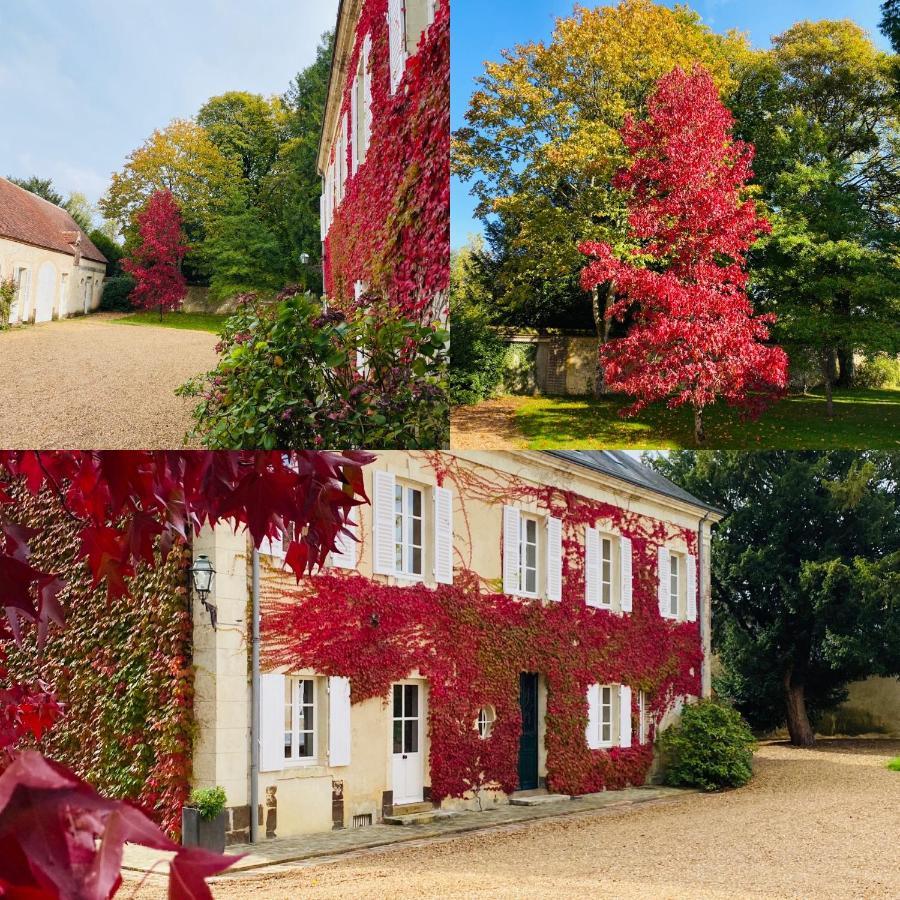 Les Couleurs Du Verger Beaumont-les-Autels 外观 照片