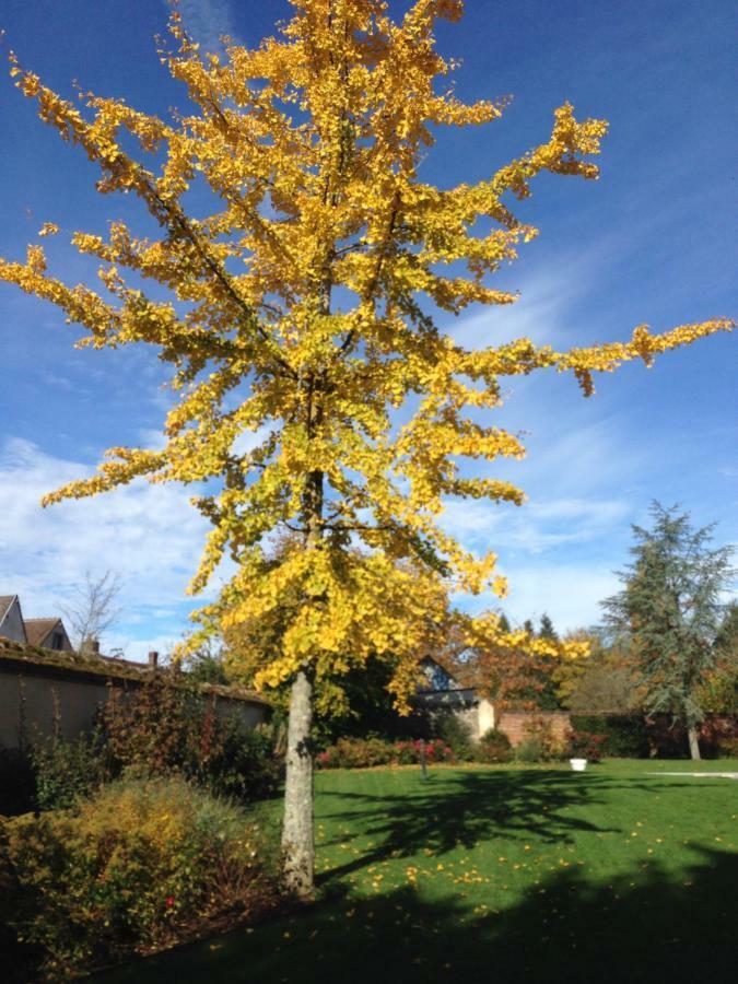 Les Couleurs Du Verger Beaumont-les-Autels 外观 照片