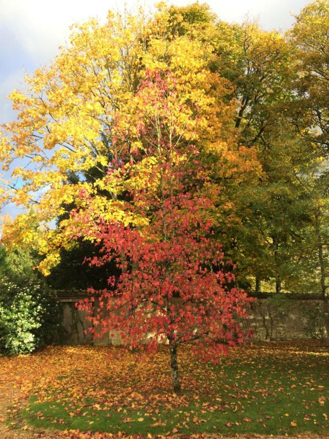 Les Couleurs Du Verger Beaumont-les-Autels 外观 照片