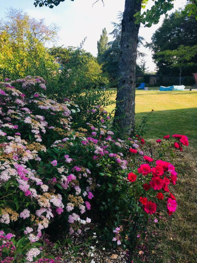 Les Couleurs Du Verger Beaumont-les-Autels 外观 照片