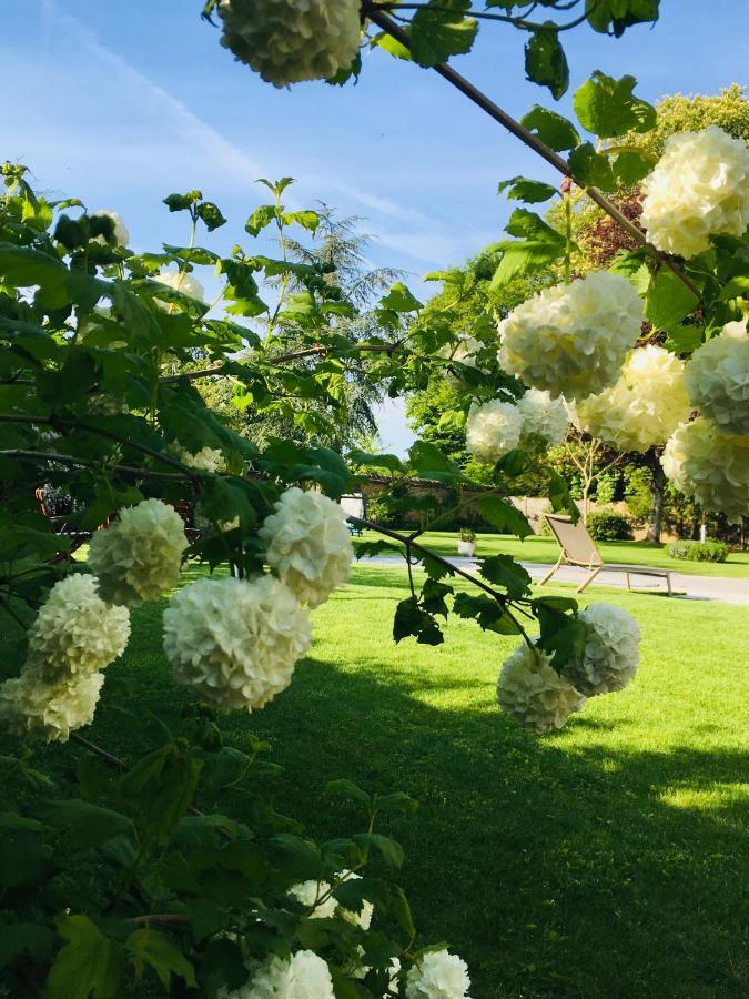Les Couleurs Du Verger Beaumont-les-Autels 外观 照片